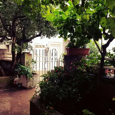 Guest house Blue Makarska
